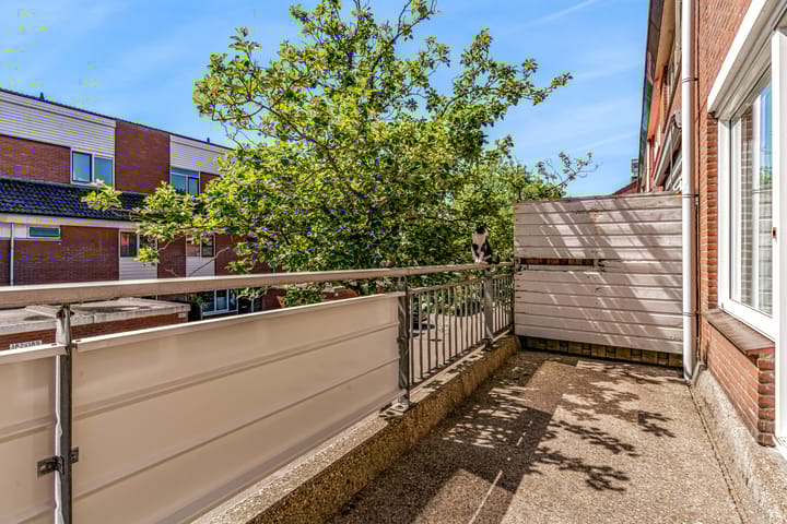 Foto 10 van Poolster 226