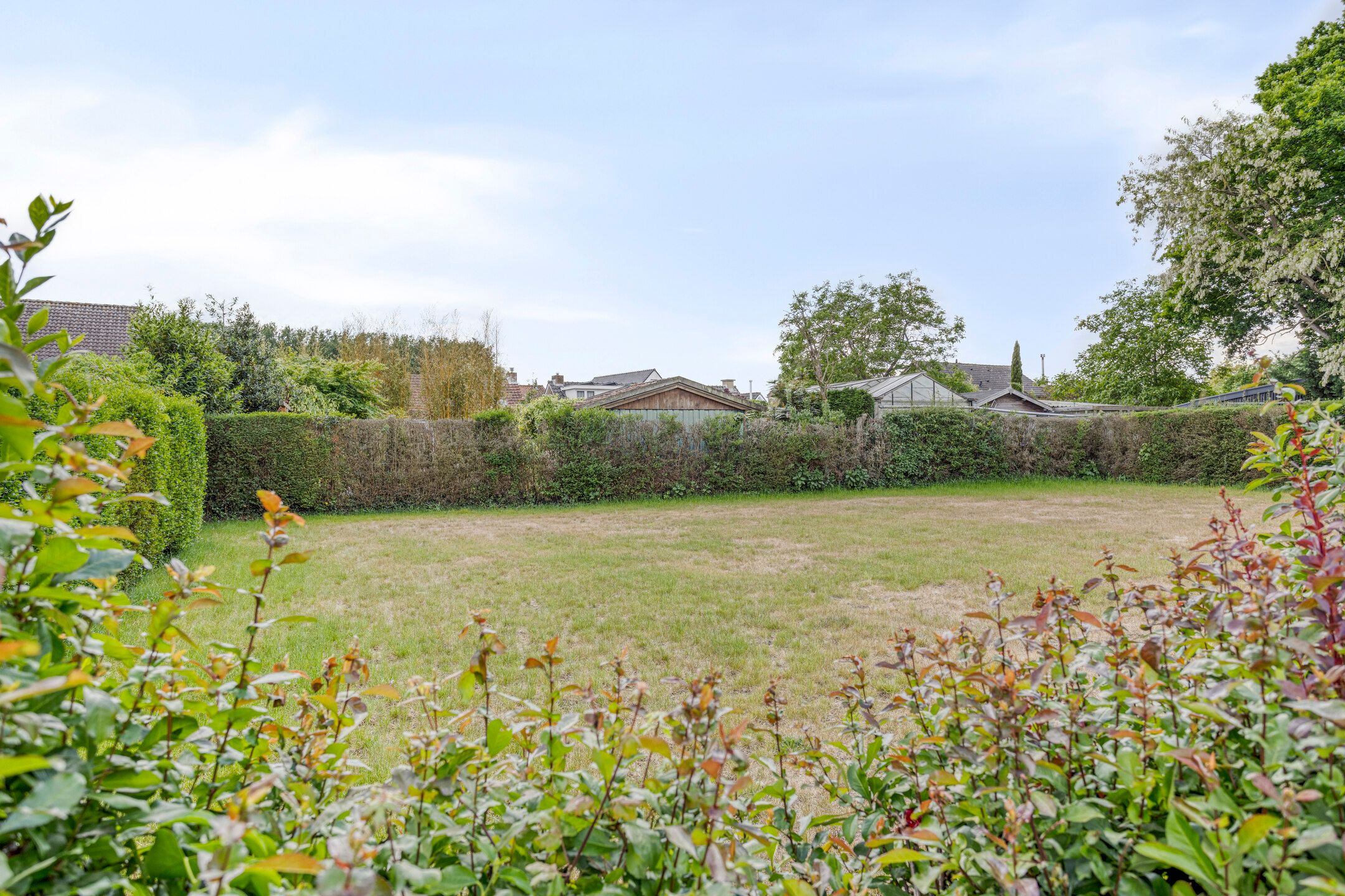 Foto 30 van Nieuwstraat 113