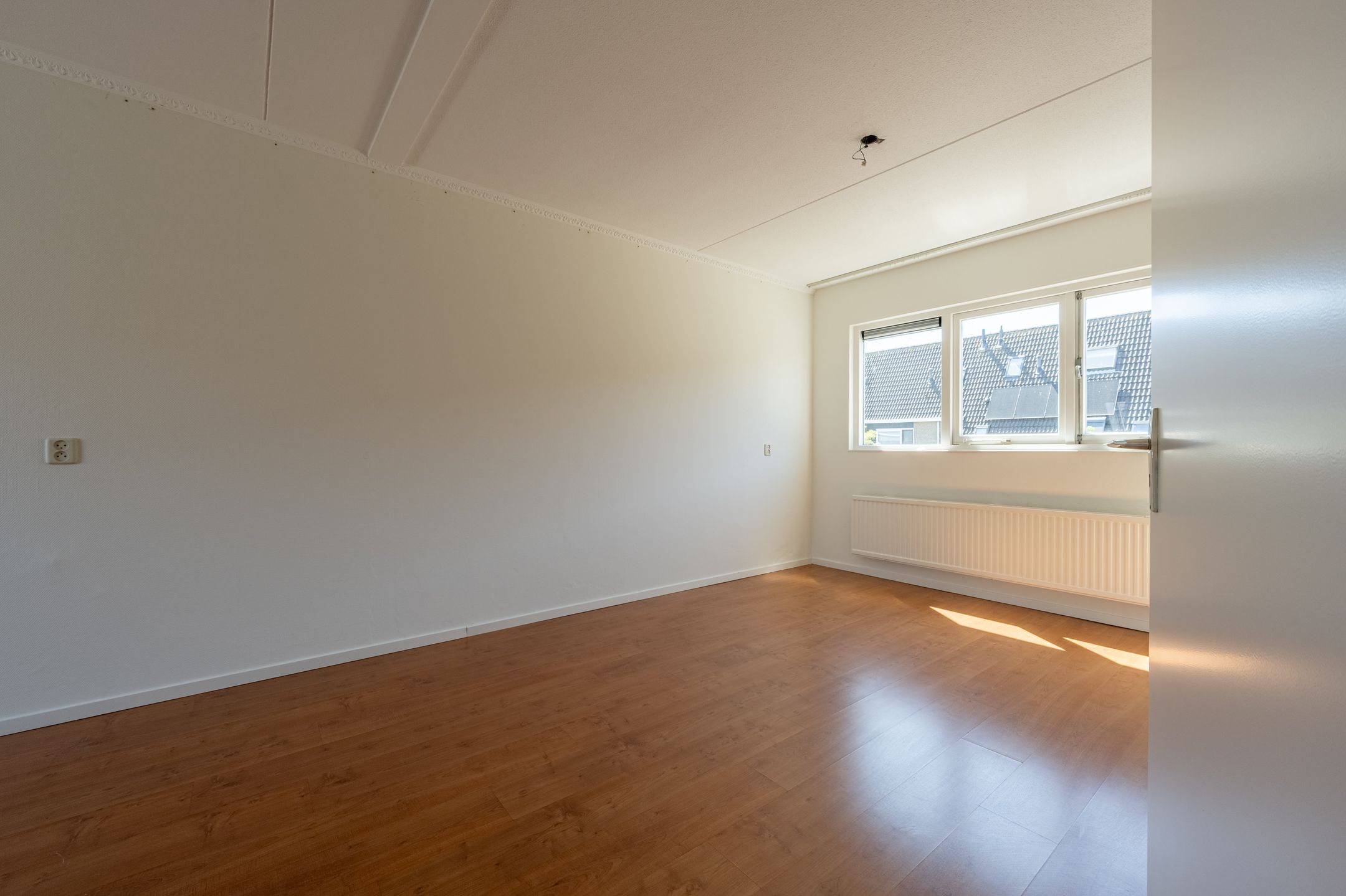 Foto 15 van Martin Luther Kingerf 13