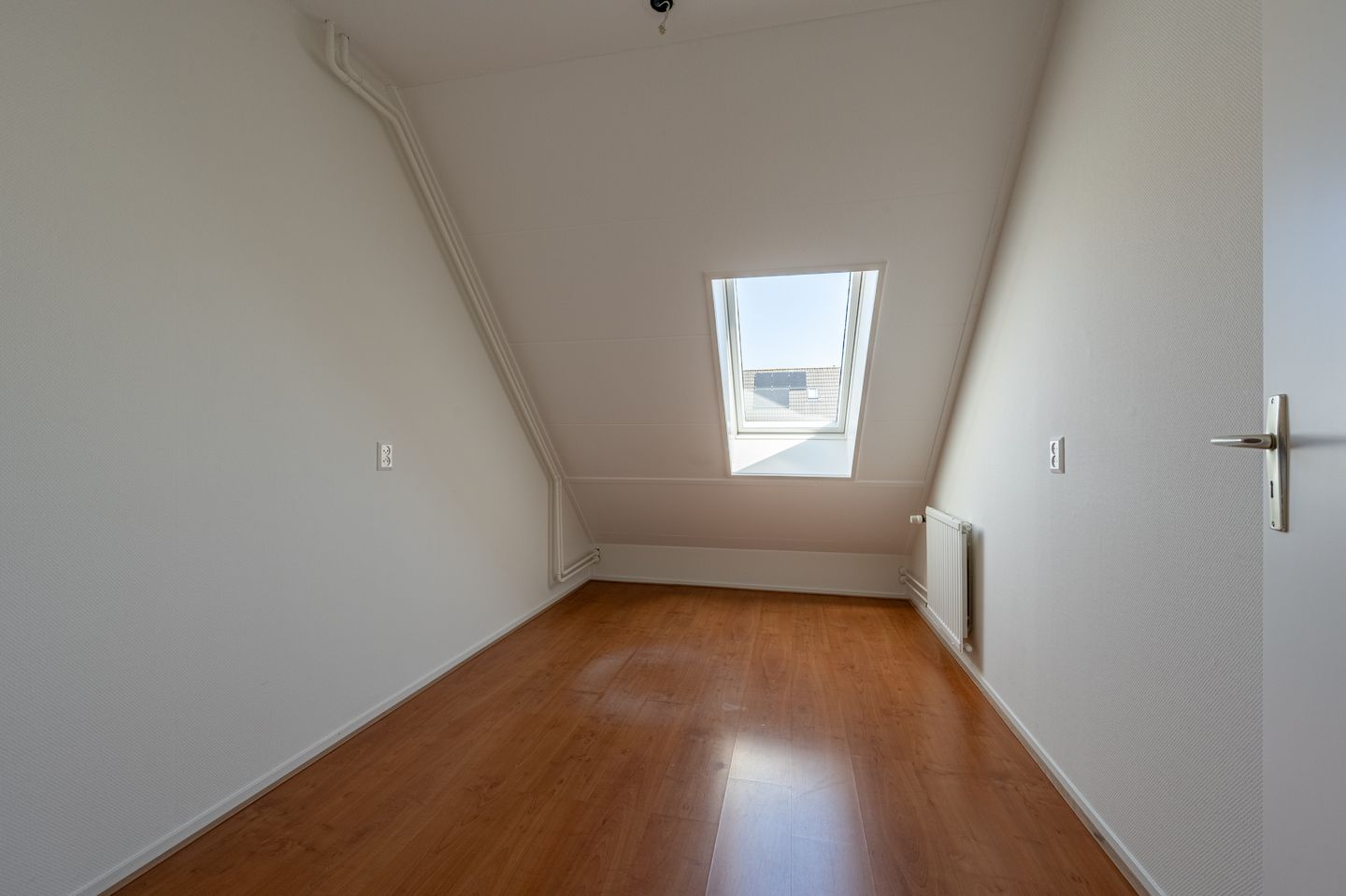 Foto 19 van Martin Luther Kingerf 13