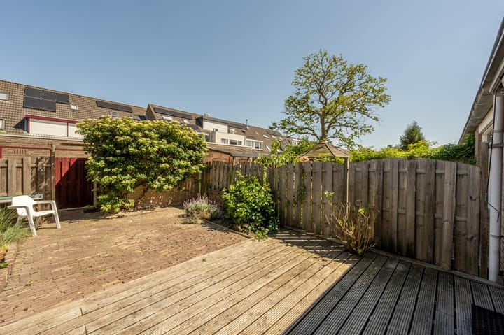 Foto 25 van Martin Luther Kingerf 13