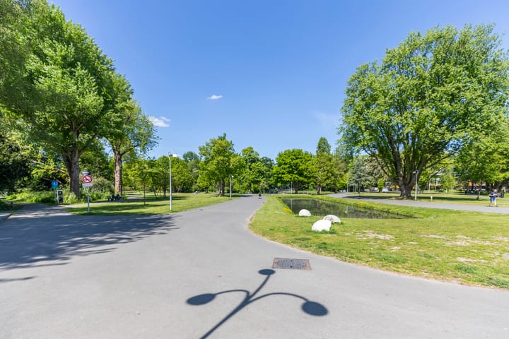 Foto 24 van Amalia van Solmsstraat 9