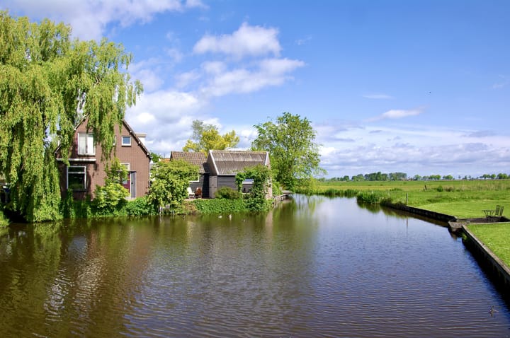 Middelie 114 main image