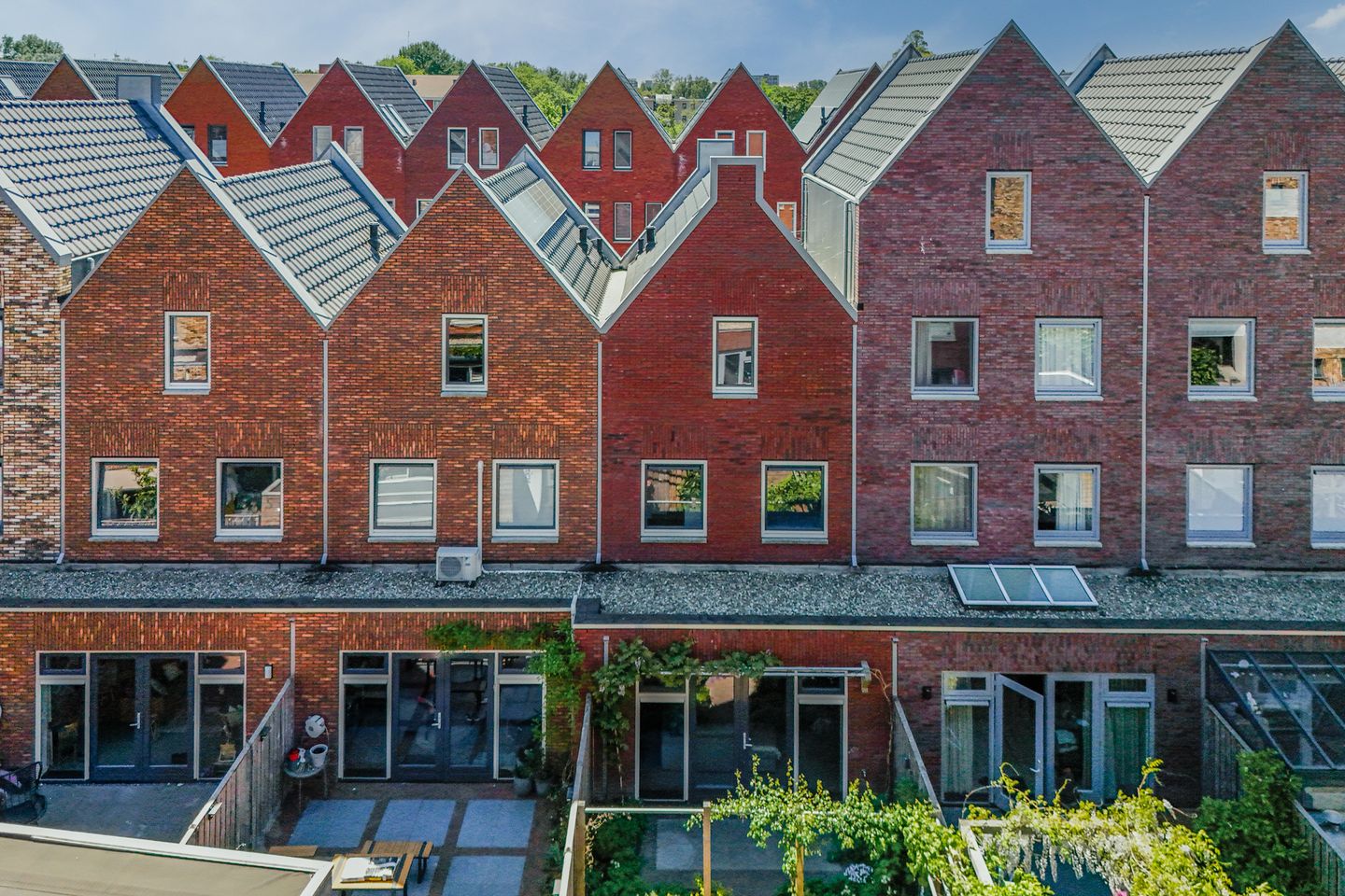 Foto 50 van Wolfpad 9