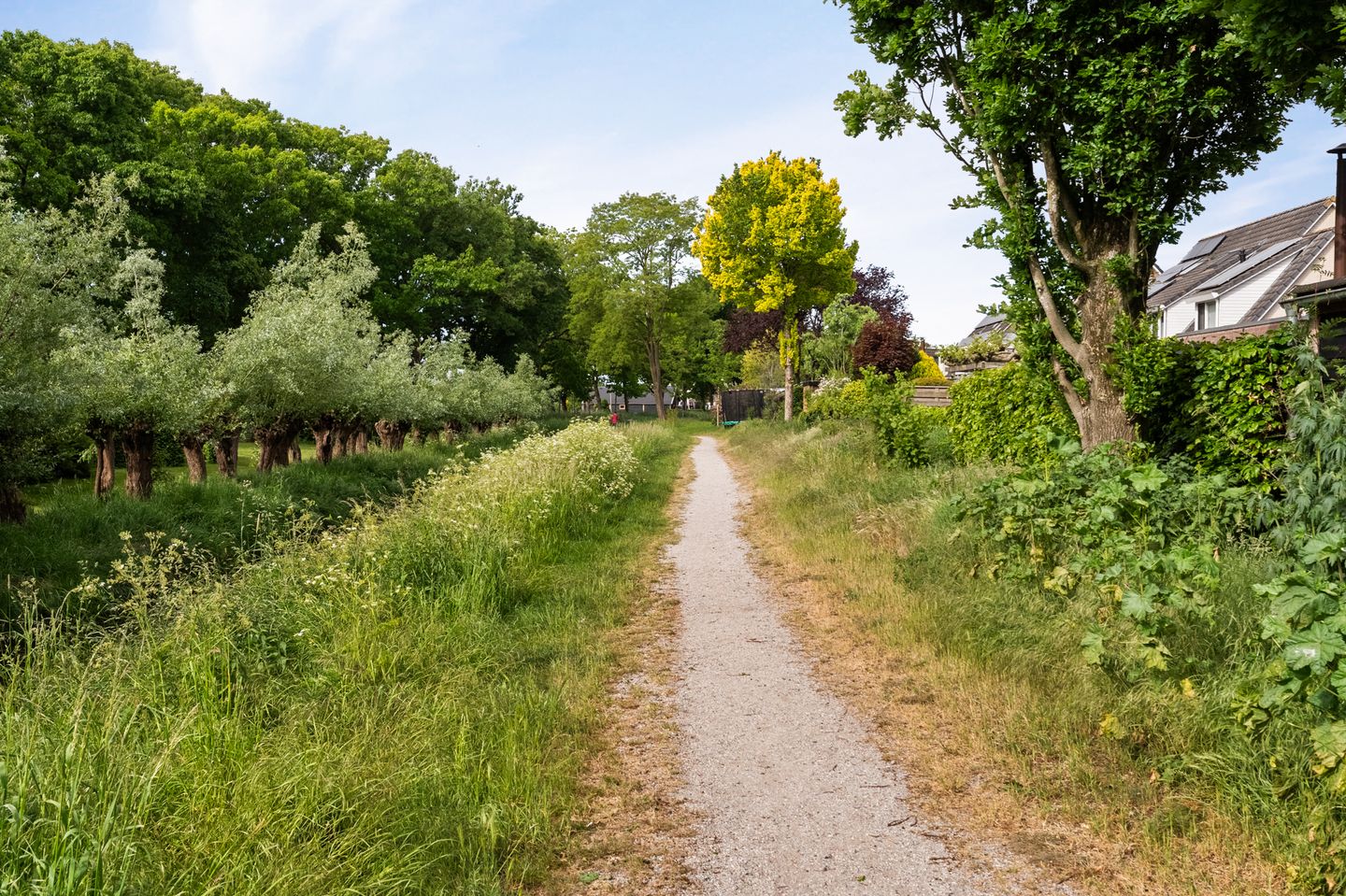 Foto 65 van Nachtegaal 60