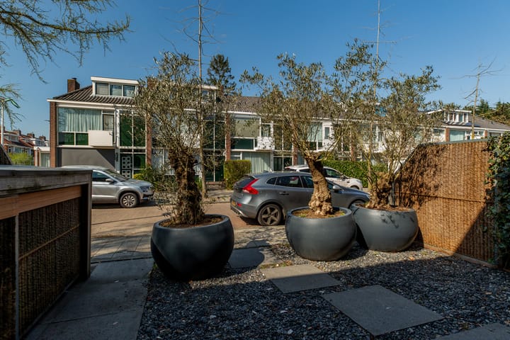 Foto 36 van Smetanalaan 20