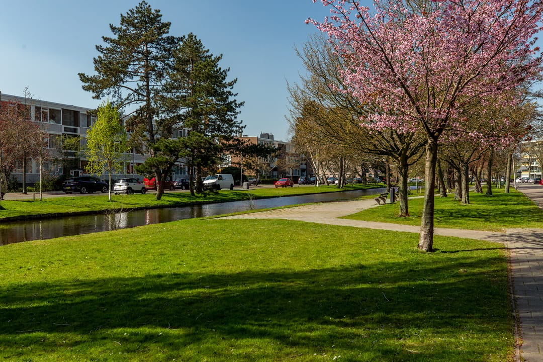 Foto 37 van Smetanalaan 20