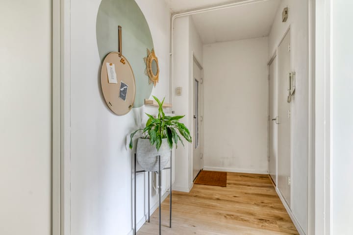 Foto 5 van Haydnlaan 101