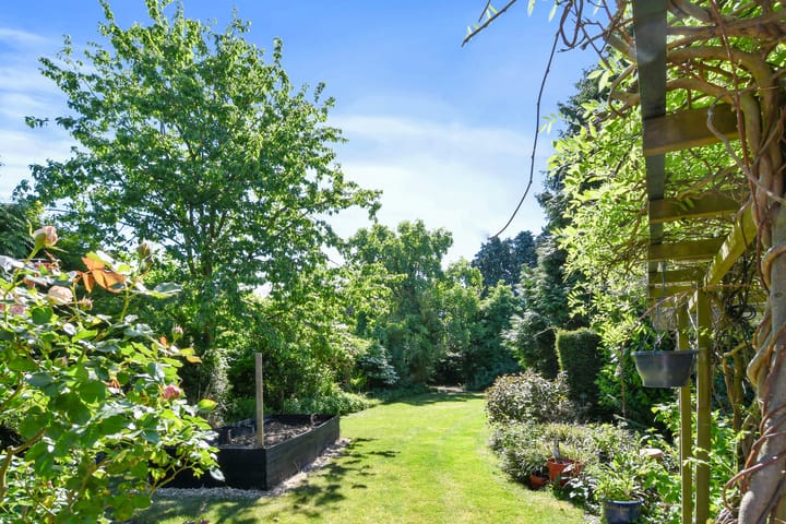 Foto 3 van Paltrokmolen 80