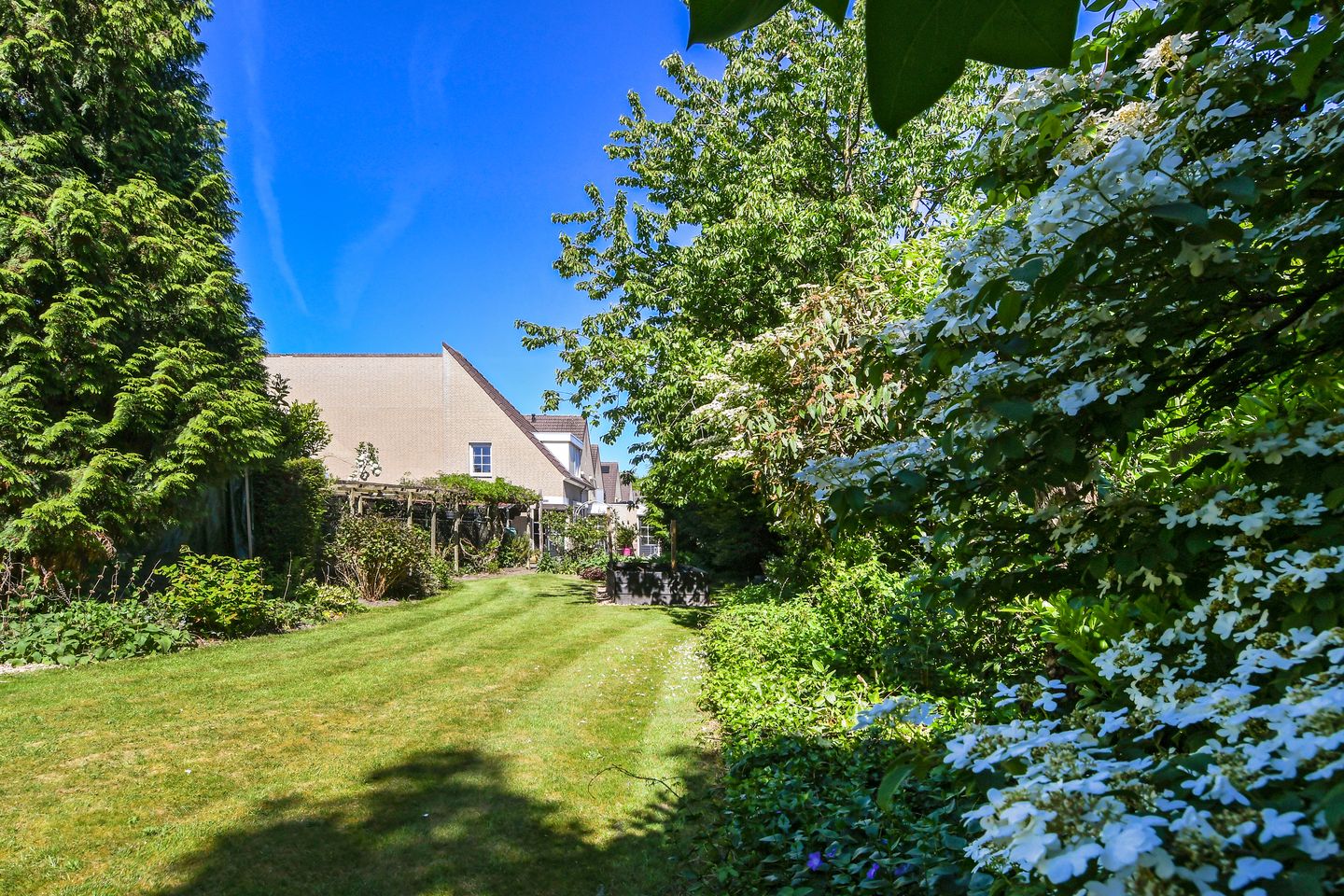 Photo 4 of Paltrokmolen 80