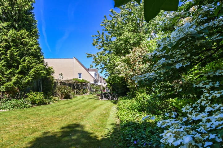 Foto 4 van Paltrokmolen 80