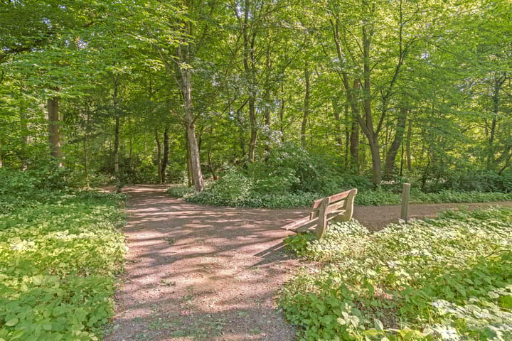 Foto 35 van Haydnlaan 101