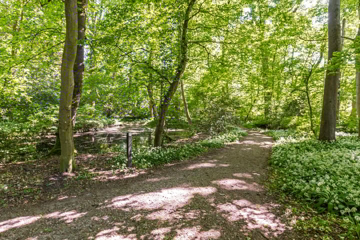 Foto 36 van Haydnlaan 101