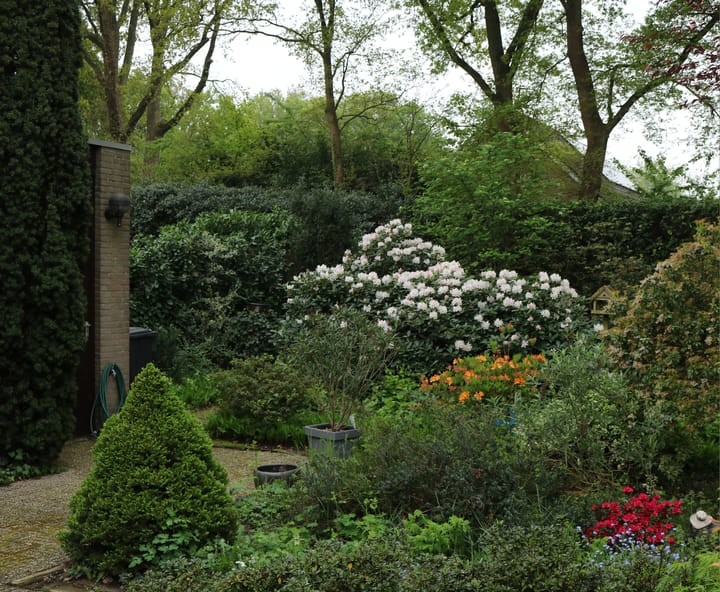 Foto 39 van Havikstraat 31