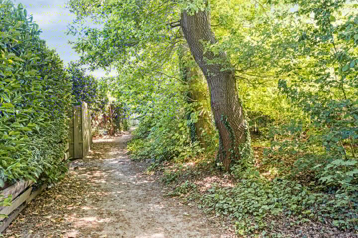 Foto 44 van Havikstraat 31