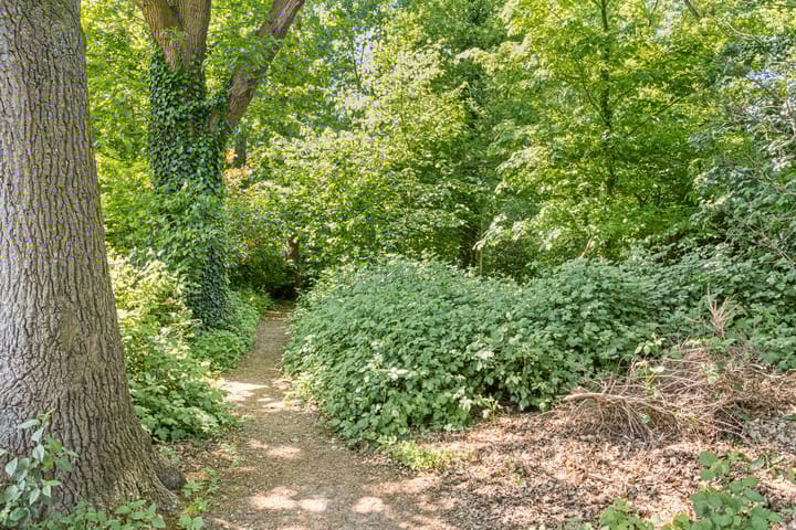 Foto 45 van Havikstraat 31