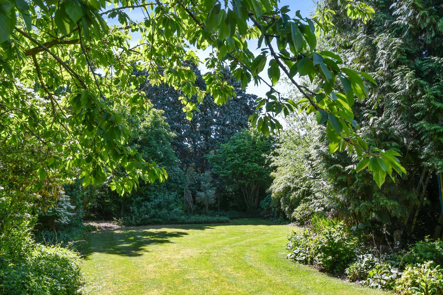 Photo 40 of Paltrokmolen 80