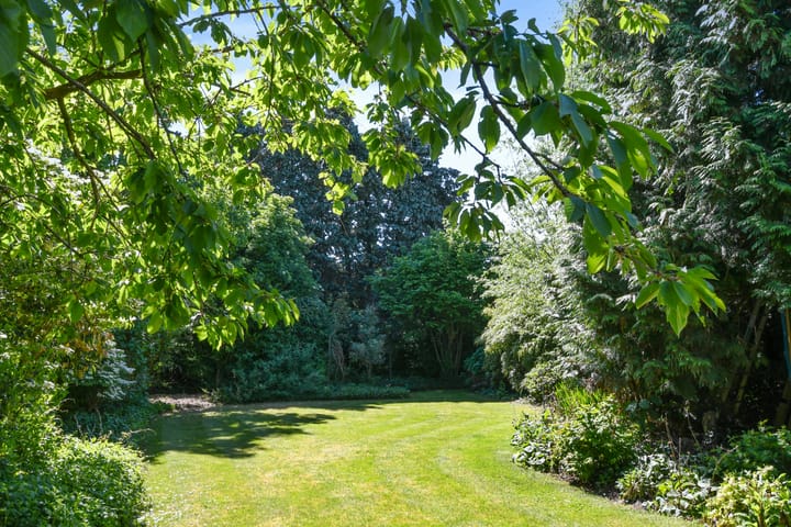 Photo 40 of Paltrokmolen 80