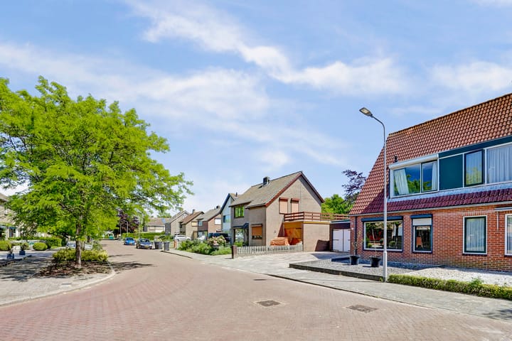 Photo 2 of Pluimpot 12