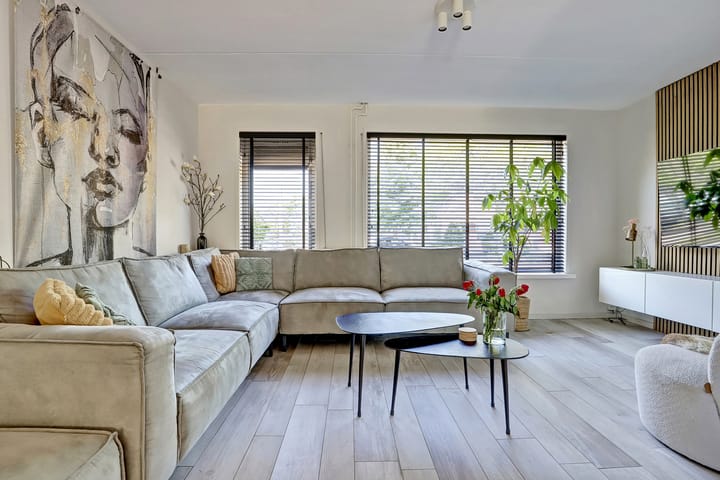 Photo 5 of Pluimpot 12