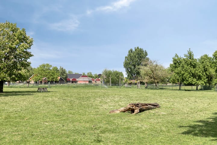 Foto 51 van Eligiusstraat 55