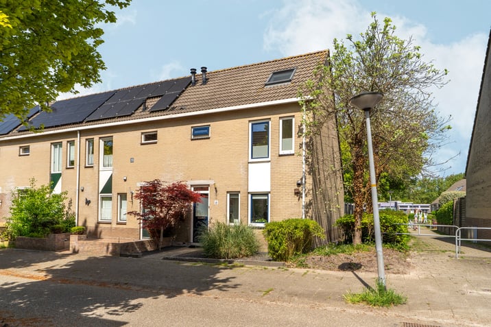 undefined main image