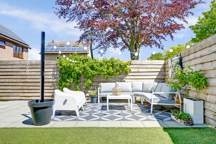 Photo 37 of Pluimpot 12