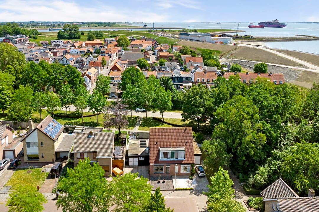 Photo 38 of Pluimpot 12