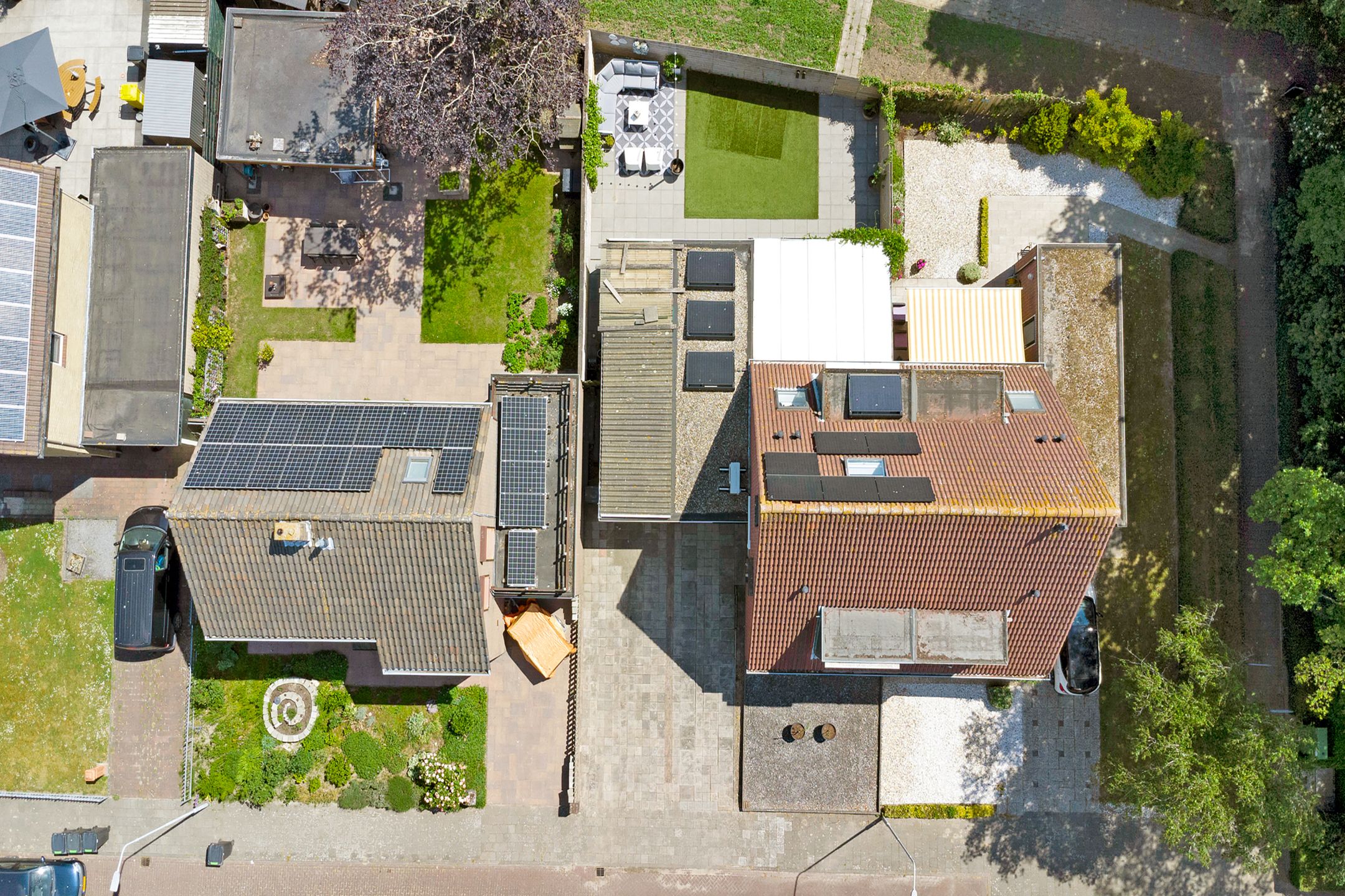 Photo 39 of Pluimpot 12