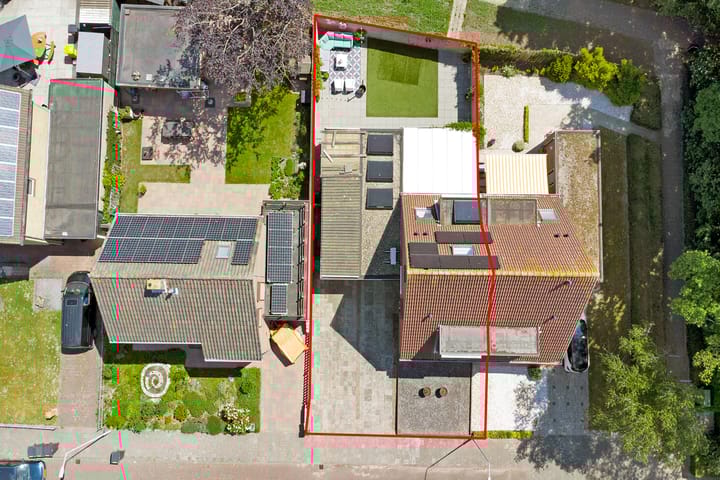 Photo 40 of Pluimpot 12