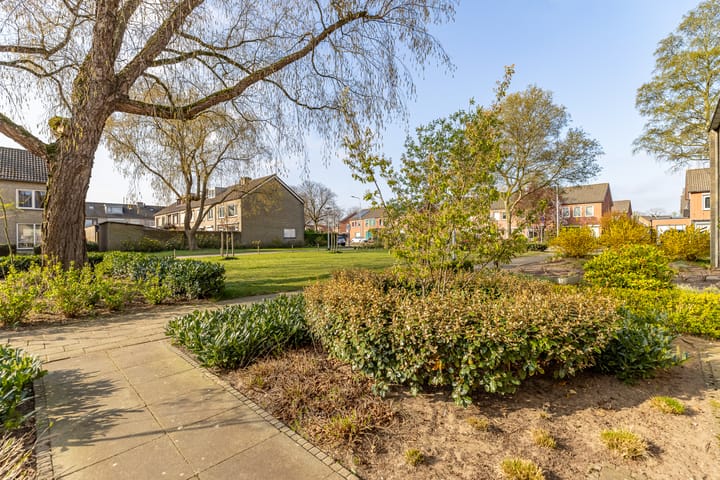 Foto 7 van Zwarte Berk 18