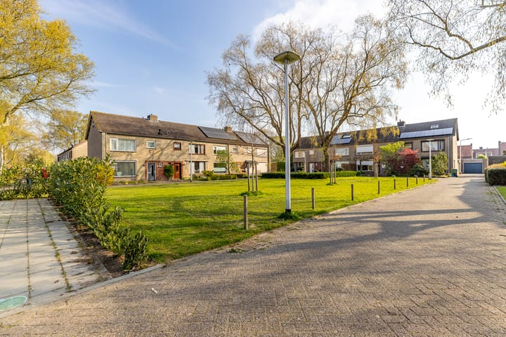 Foto 8 van Zwarte Berk 18