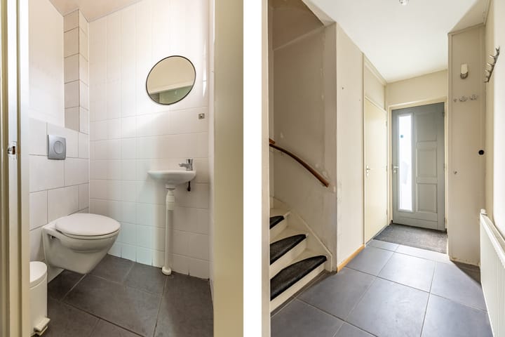 Foto 10 van Zwarte Berk 18