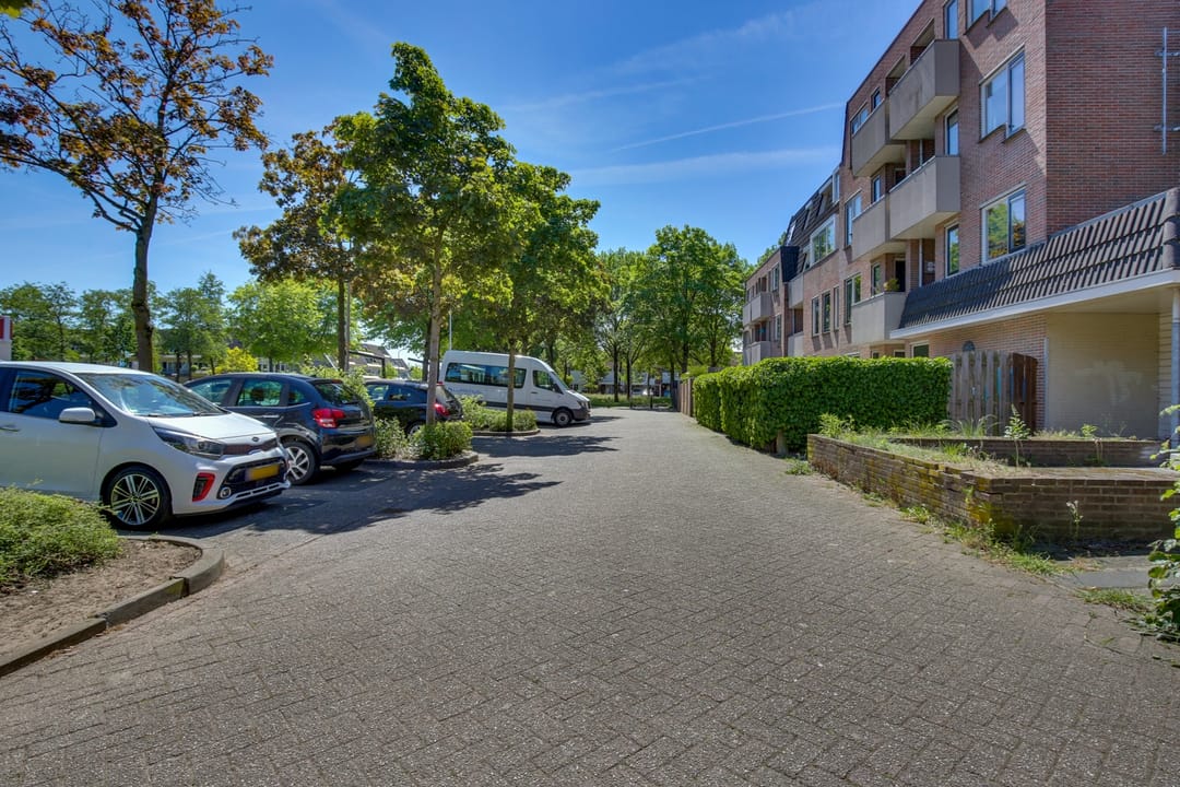 Foto 26 van Zeven Bosjes 101