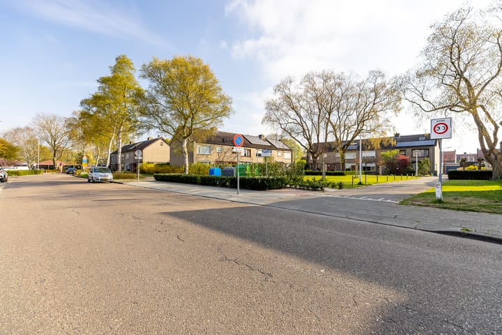 Foto 42 van Zwarte Berk 18