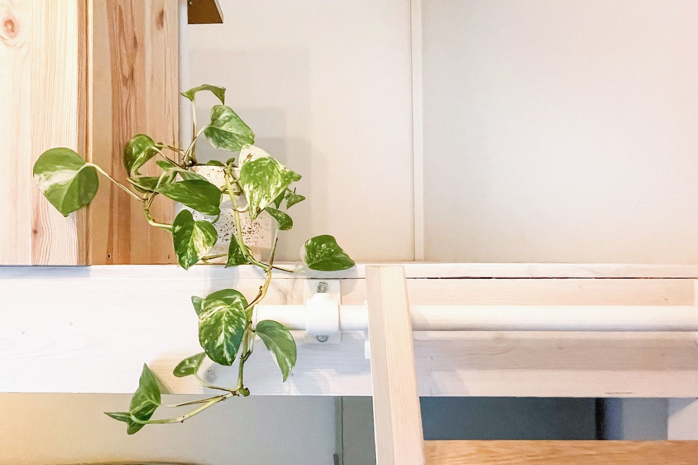 Photo 29 of Hendrik Ringershof 8