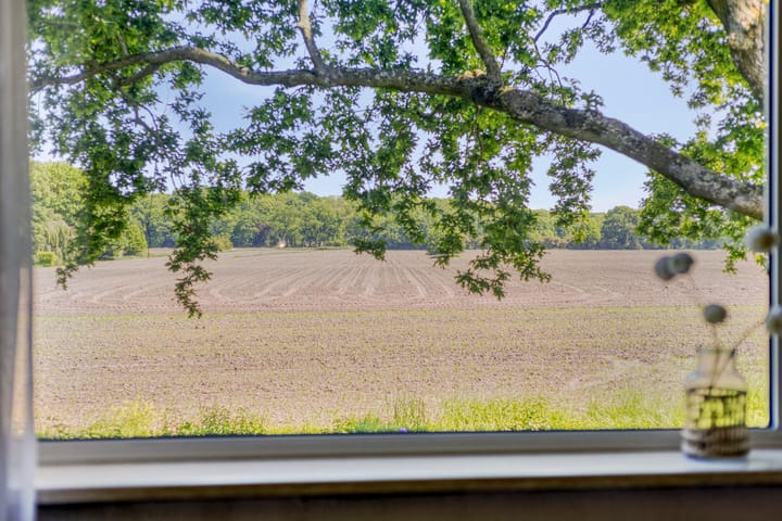 Foto 21 van Atletenstraat 137