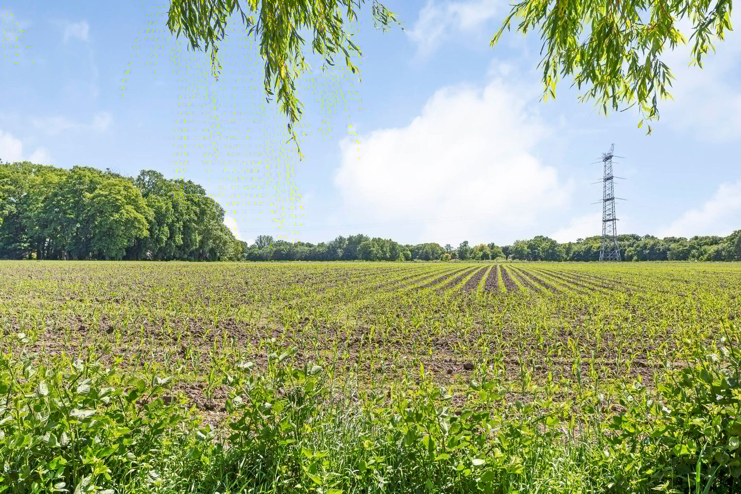 Foto 29 van Atletenstraat 137