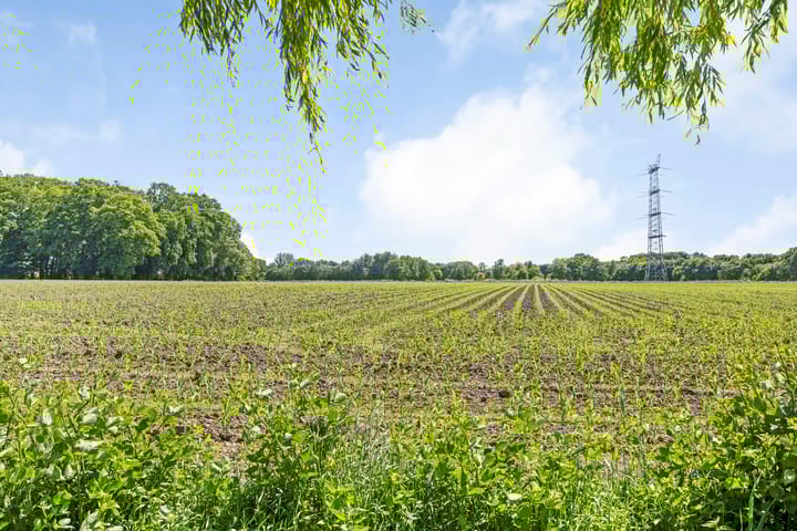 Foto 29 van Atletenstraat 137