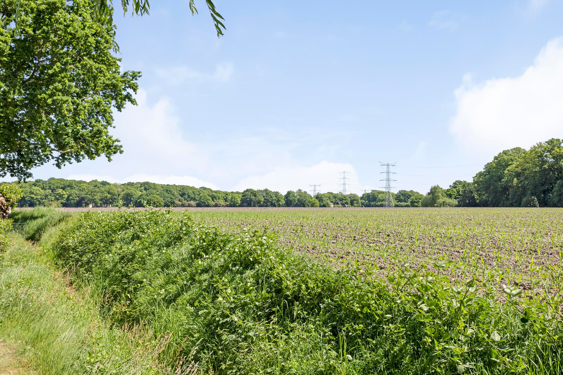 Foto 30 van Atletenstraat 137