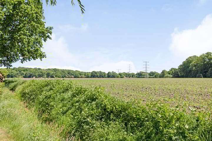 Foto 30 van Atletenstraat 137