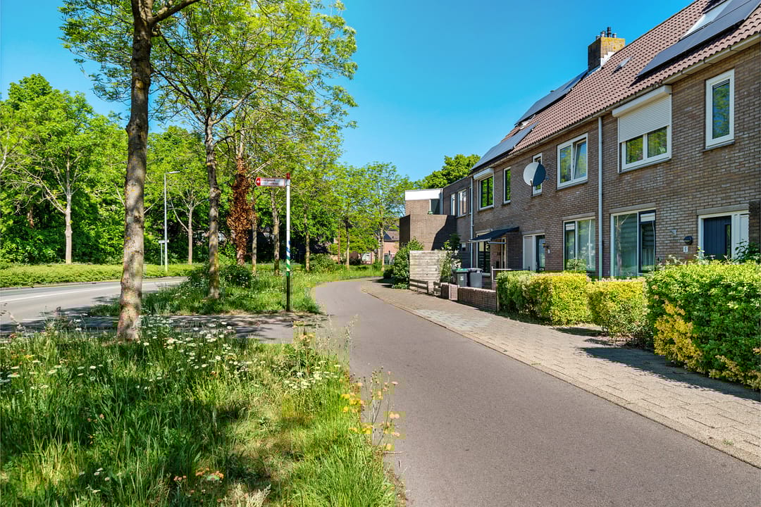 Foto 2 van Mulderij 8