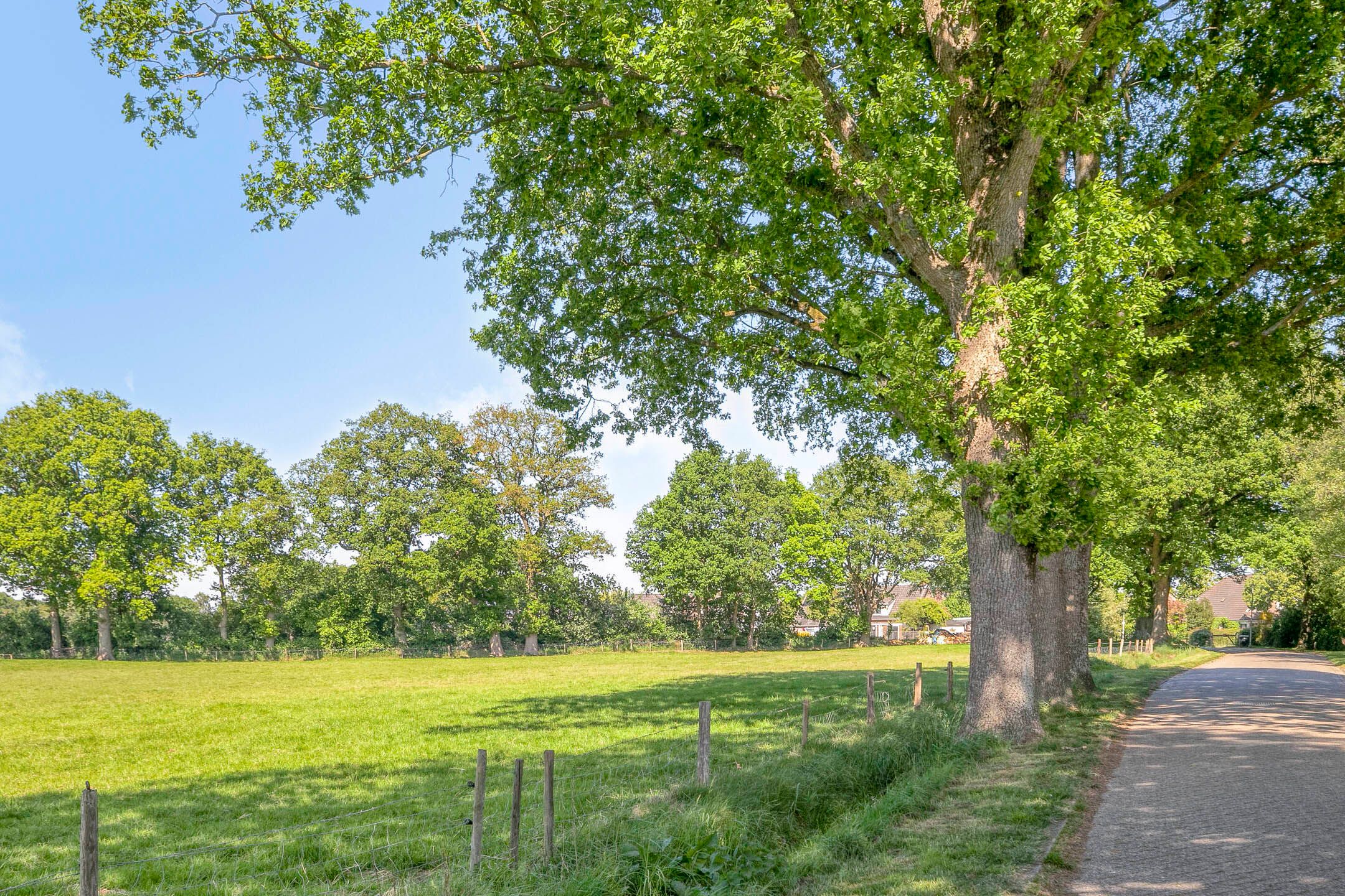 Photo 39 of De Akkers 5