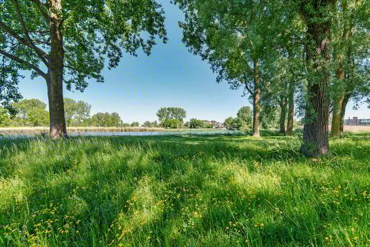 Foto 32 van Mulderij 8