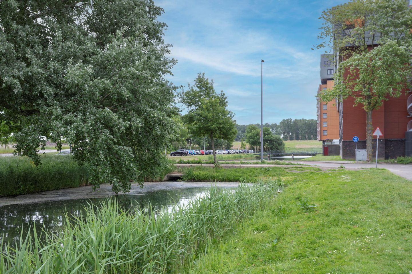 Foto 40 van Esdoornlaan 208