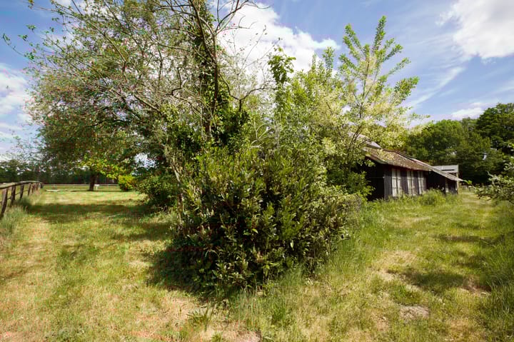 Foto 54 van Bataafseweg 4-A