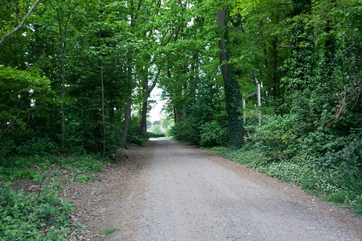 Foto 58 van Bataafseweg 4-A