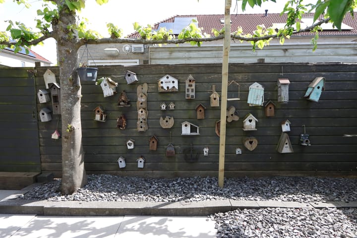 Foto 38 van Ganzerik 21