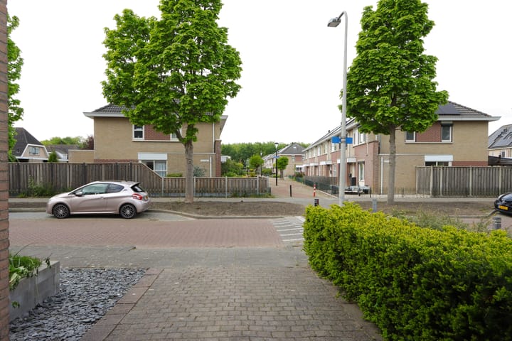 Foto 40 van Ganzerik 21