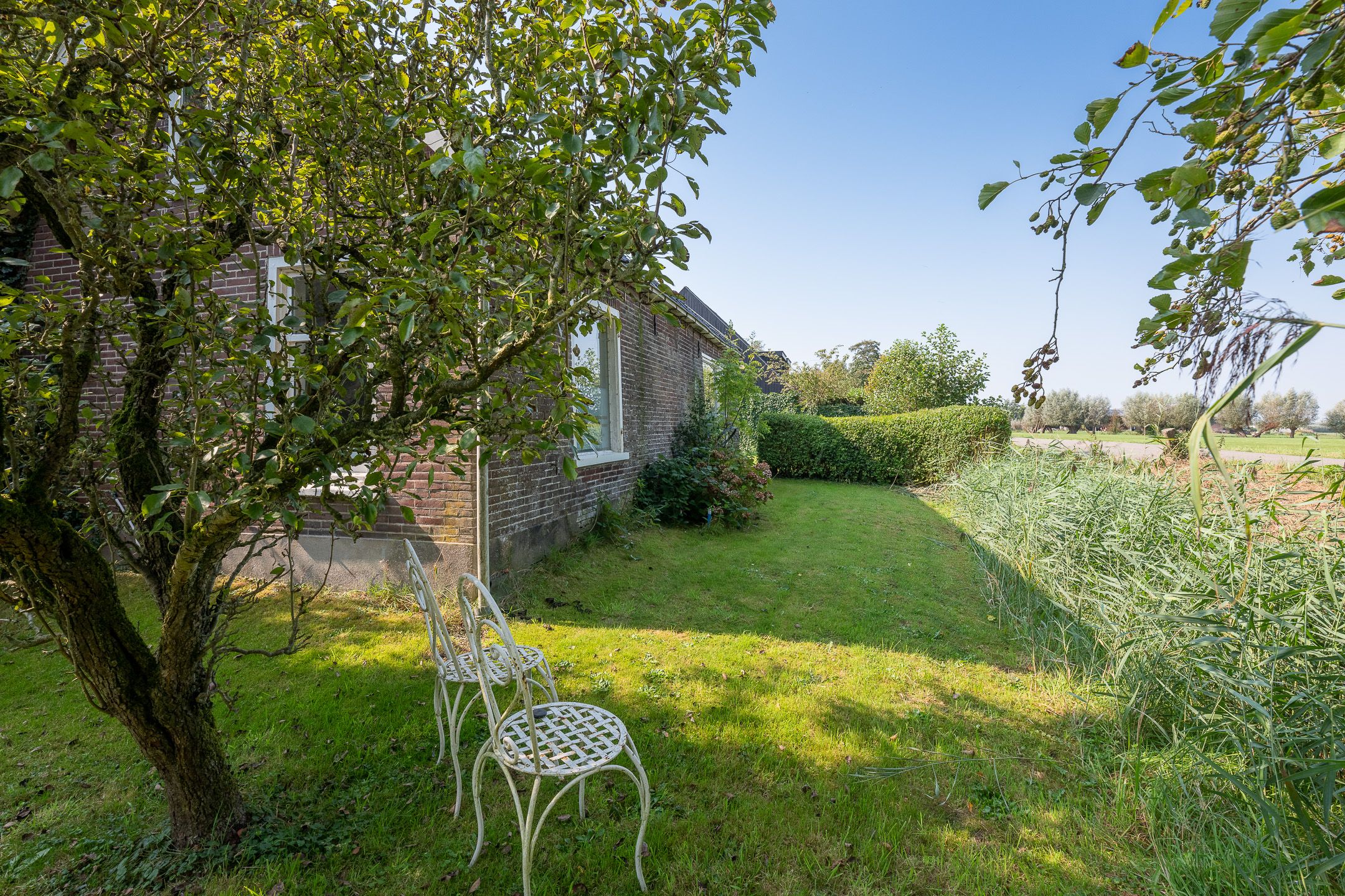 Photo 12 of Kleizuwe 8